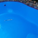 Jacksonville Pool After